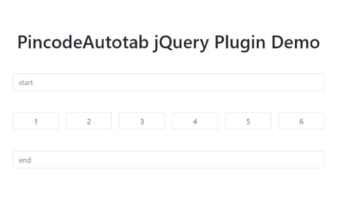 User-friendly Pincode Plugin With Auto Tab - jQuery PincodeAutotab